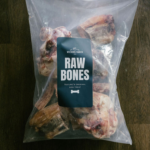 "Big Dog" Beef Bone Bundle