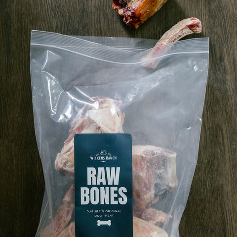 "Big Dog" Beef Bone Bundle