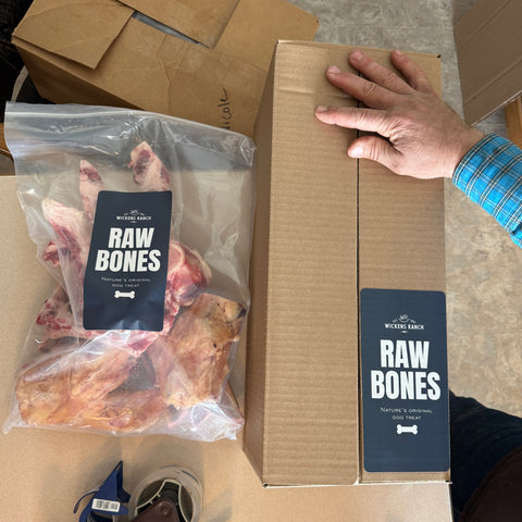 "Big Dog" Beef Bone Bundle